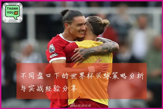 不同盘口下的世界杯买球策略分析与实战经验分享