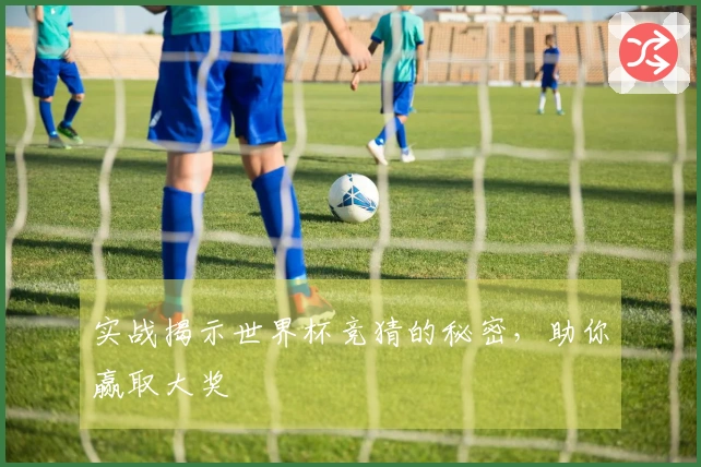 实战揭示世界杯竞猜的秘密，助你赢取大奖
