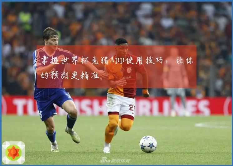 掌握世界杯竞猜App使用技巧，让你的预测更精准
