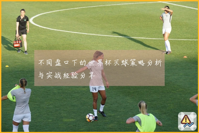 不同盘口下的世界杯买球策略分析与实战经验分享