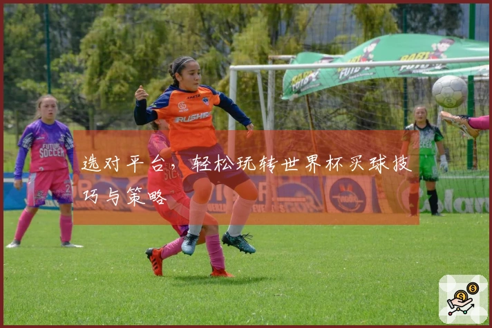 选对平台，轻松玩转世界杯买球技巧与策略