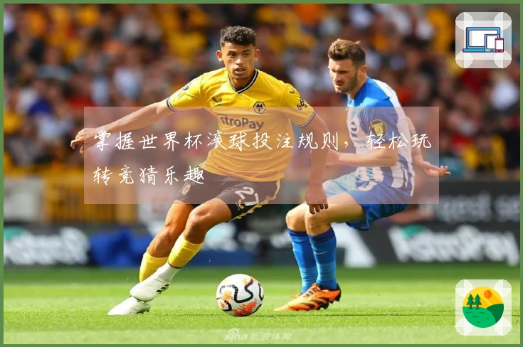 掌握世界杯滚球投注规则，轻松玩转竞猜乐趣