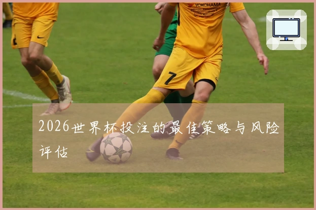 2026世界杯投注的最佳策略与风险评估