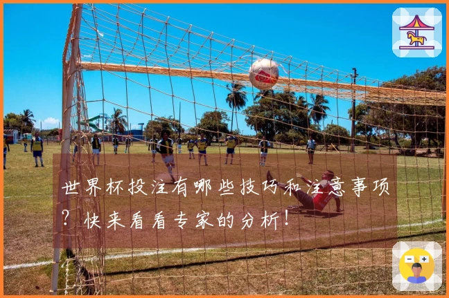 世界杯投注有哪些技巧和注意事项？快来看看专家的分析！