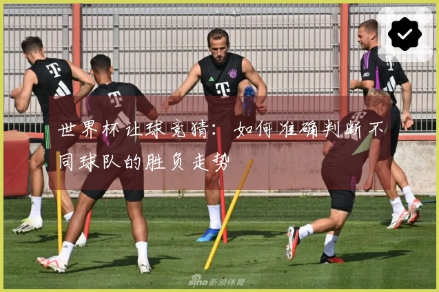 世界杯让球竞猜：如何准确判断不同球队的胜负走势