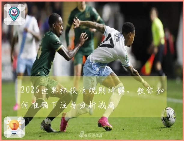 2026世界杯投注规则详解，教你如何准确下注与分析战局