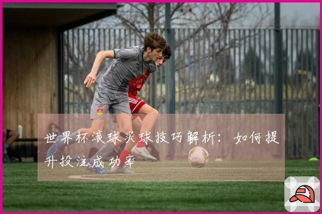 世界杯滚球买球技巧解析：如何提升投注成功率