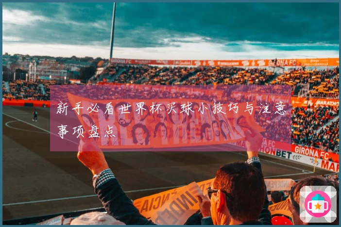 新手必看世界杯买球小技巧与注意事项盘点
