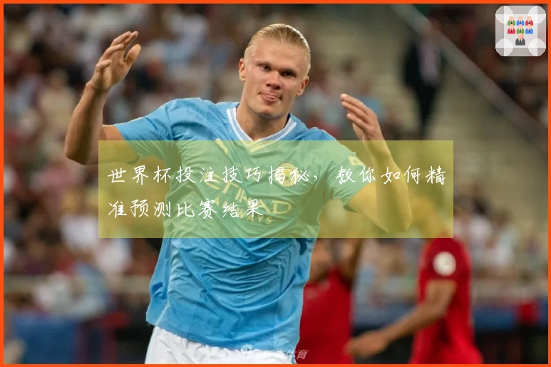世界杯投注技巧揭秘，教你如何精准预测比赛结果