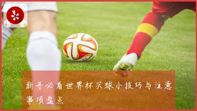 新手必看世界杯买球小技巧与注意事项盘点