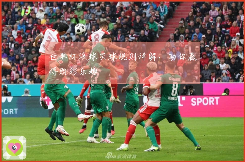 世界杯滚球买球规则详解，助你赢得购彩乐趣