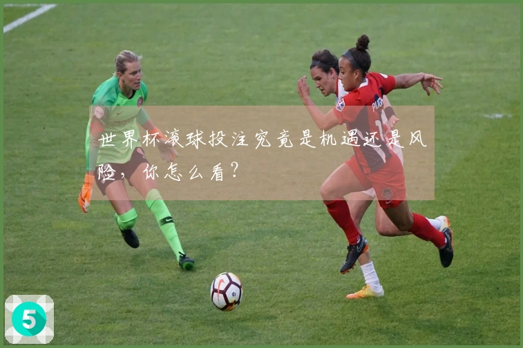 世界杯滚球投注究竟是机遇还是风险，你怎么看？