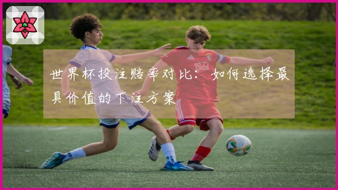世界杯投注赔率对比：如何选择最具价值的下注方案